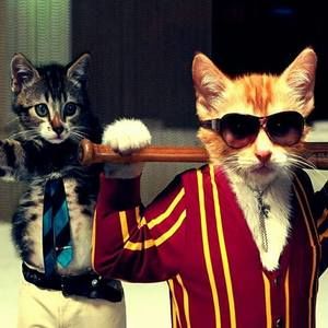 Meet your Posher, Adan